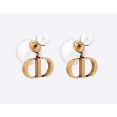 Christian Dior Earrings